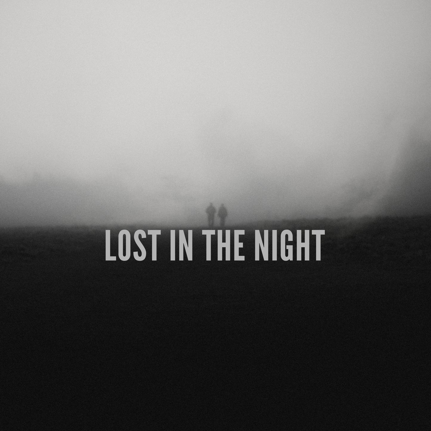 Lost in the Night (ORIGINAL VOCALS)