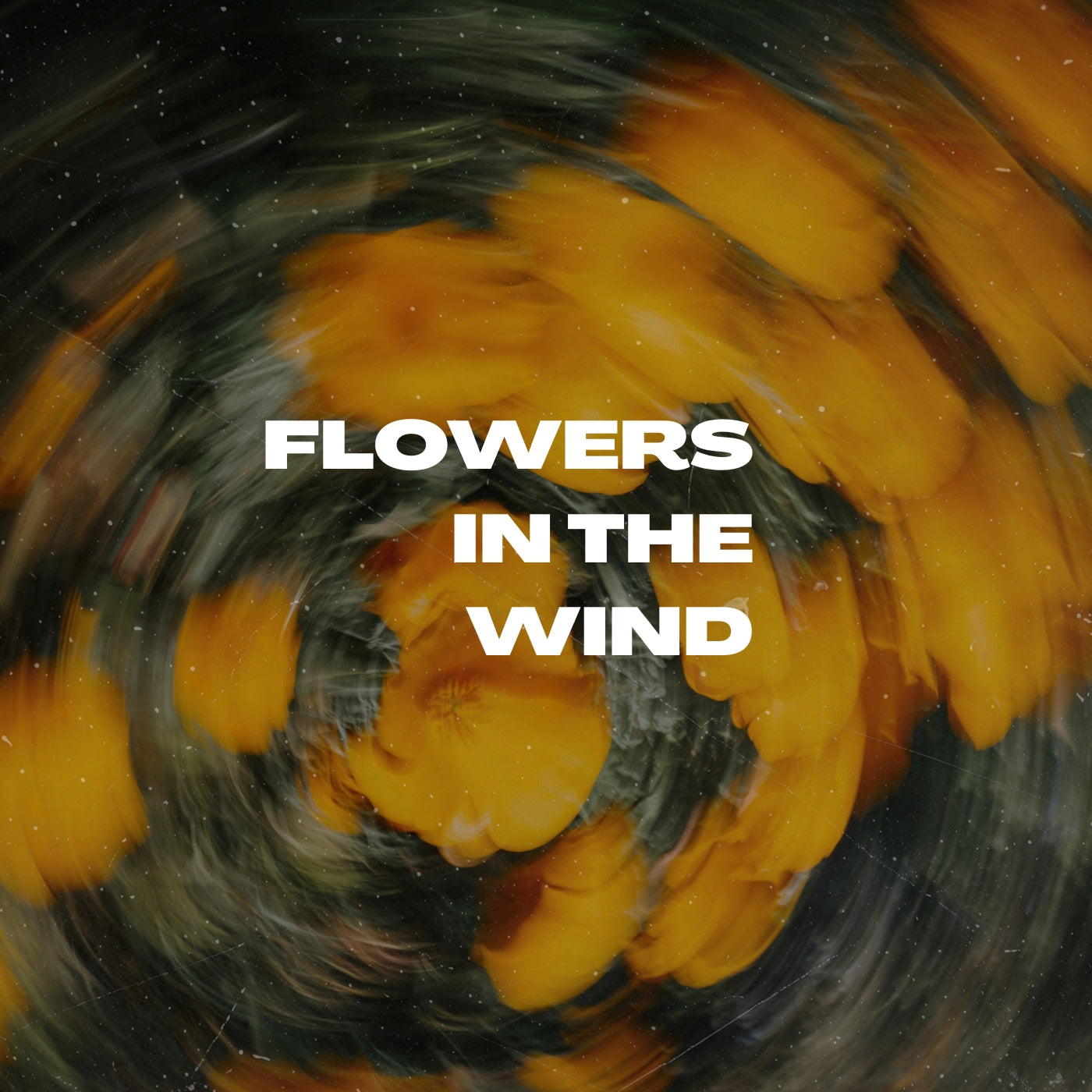 Flowers in the Wind (ORIGINAL VOCALS)