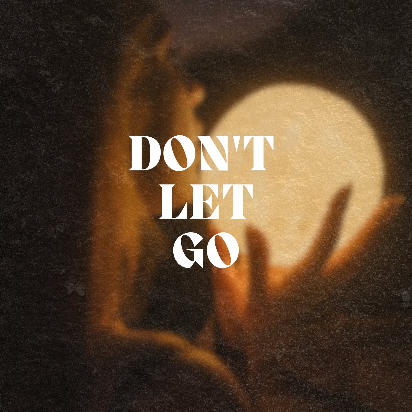 Don't Let Go (EXCLUSIVE ORIGINAL VOCALS)