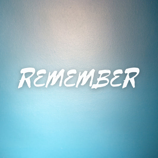 Remember (COVER VOCALS)