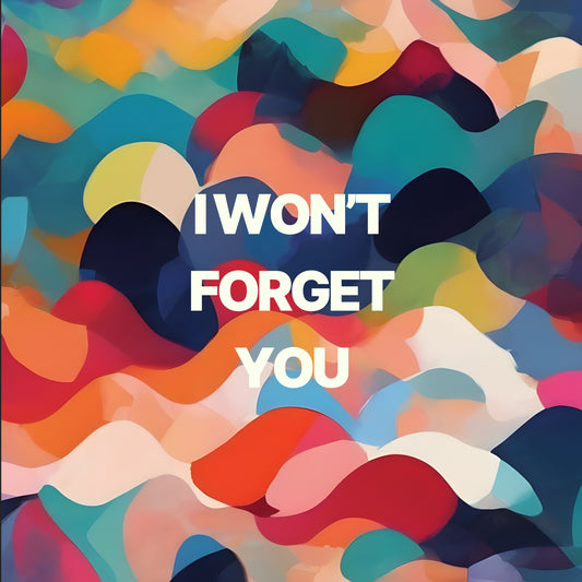I Won't Forget You (ORIGINAL VOCALS)