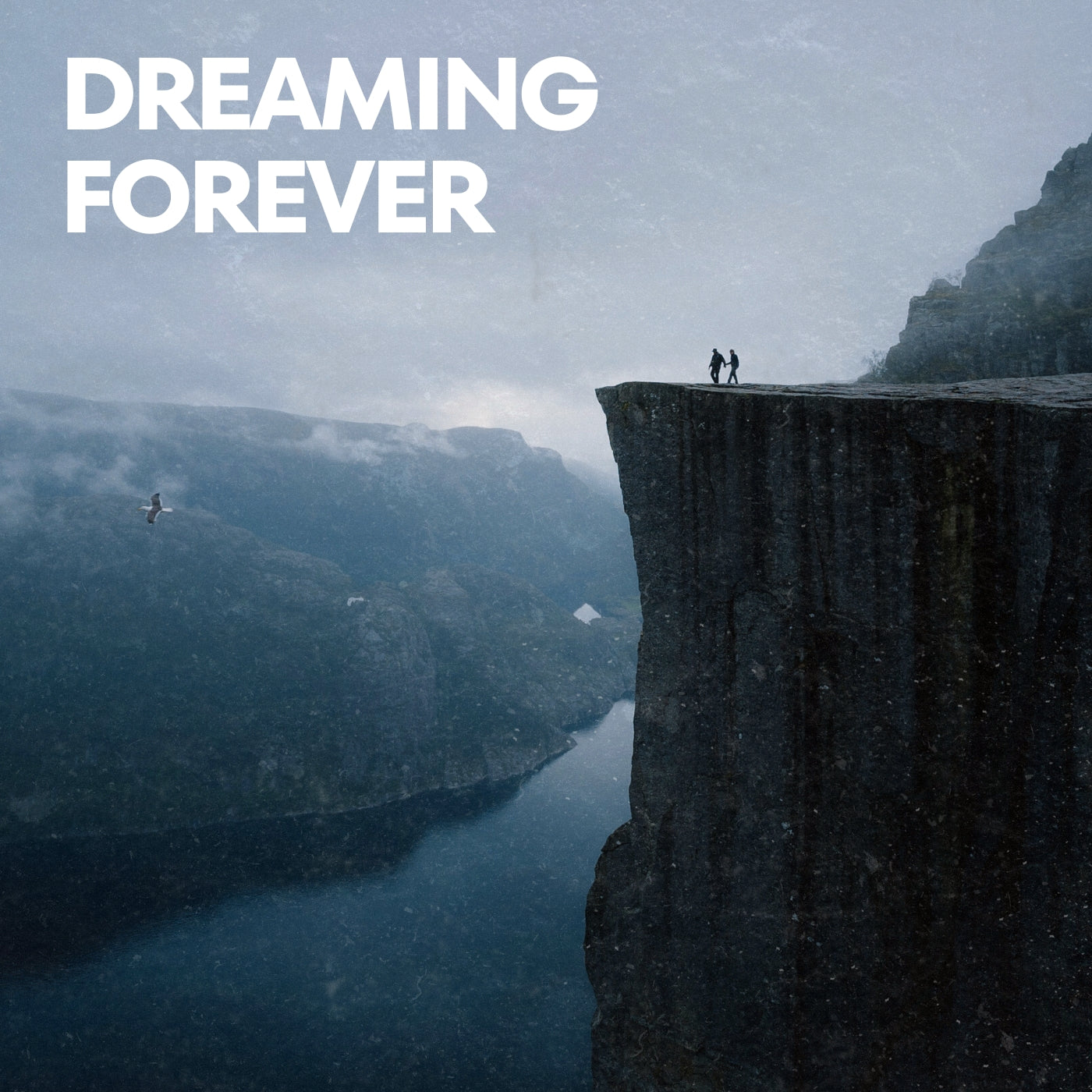 Dreaming Forever (ORIGINAL VOCALS)