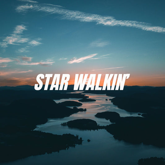 STAR WALKIN' (COVER VOCALS)