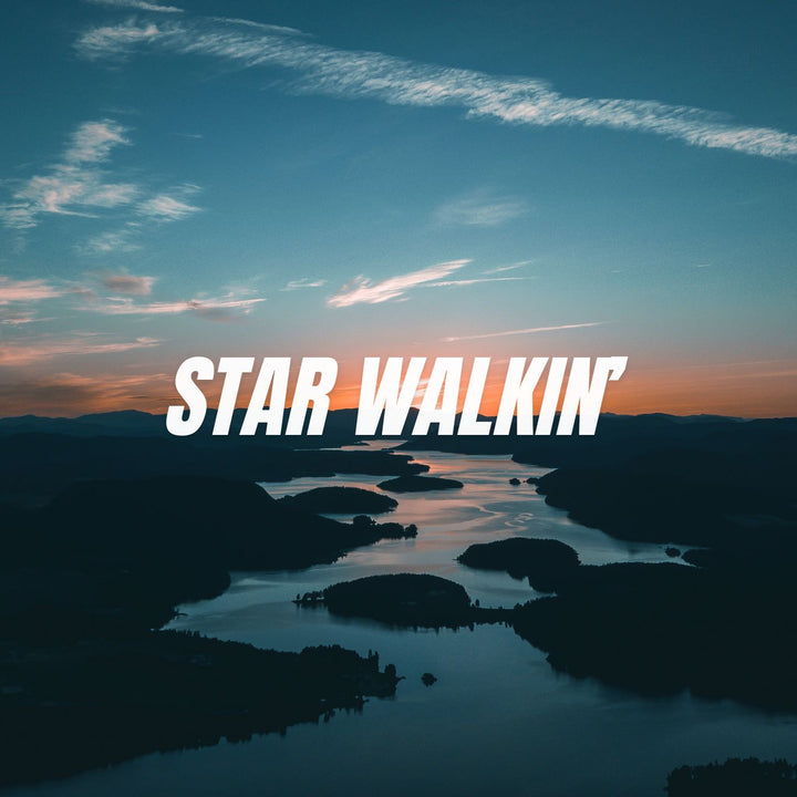STAR WALKIN' (COVER VOCALS)