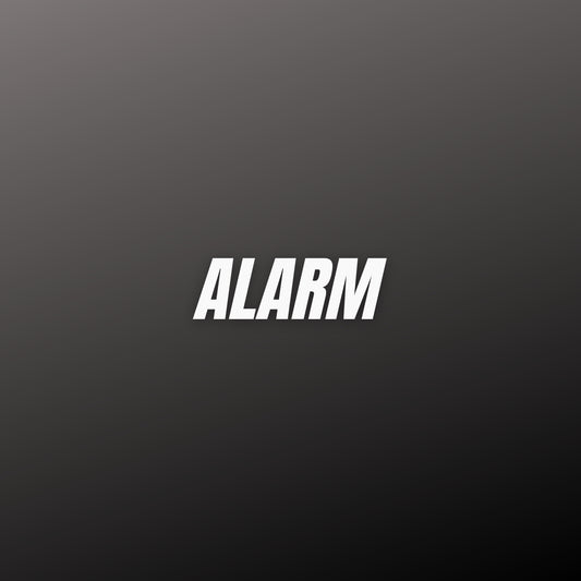 ALARM (SLAP HOUSE)