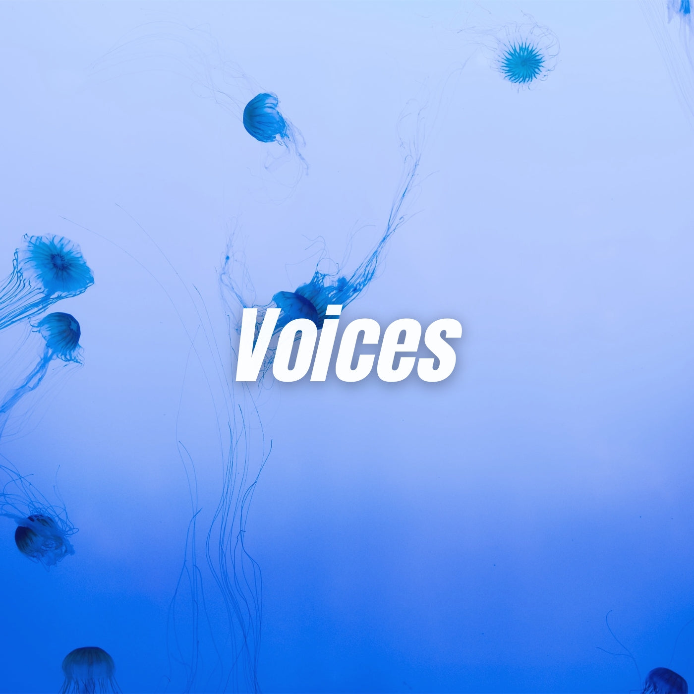 Voices (POP/DEEP HOUSE)