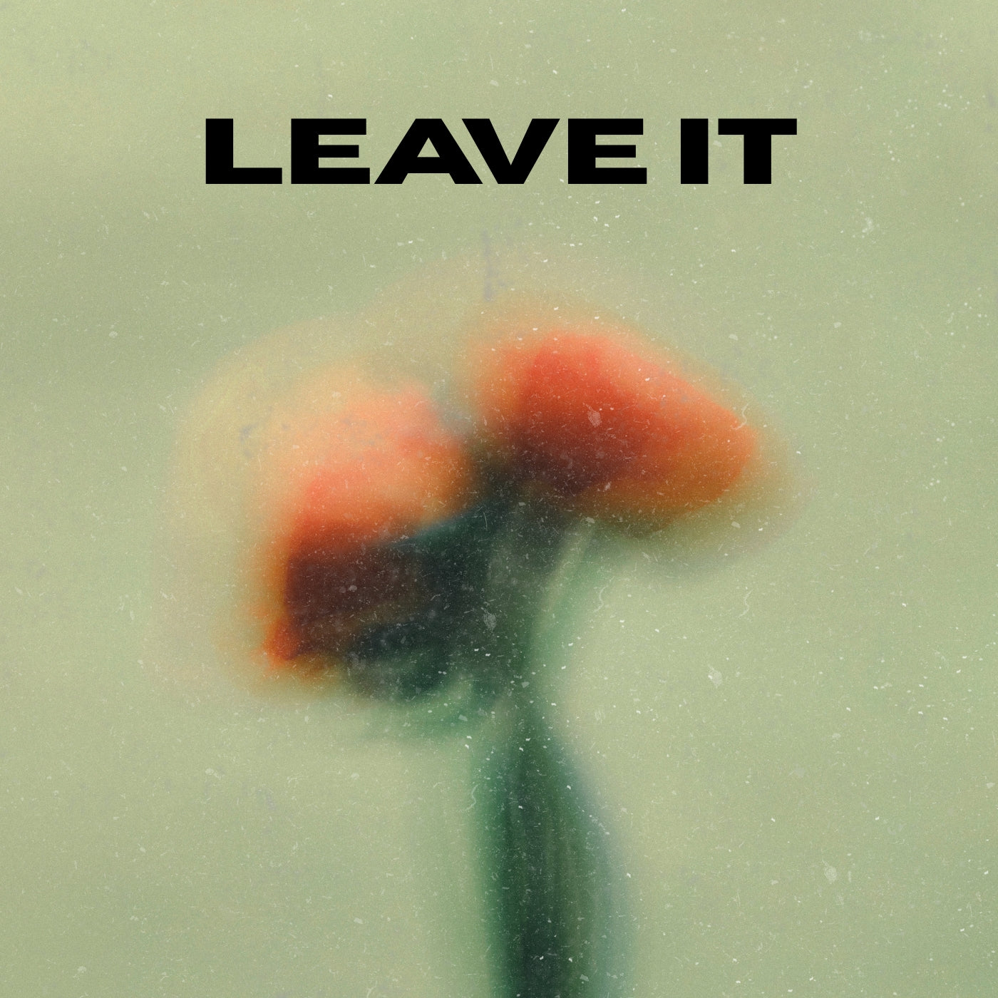 Leave it (TOP EXCLUSIVE ORIGINAL VOCALS)
