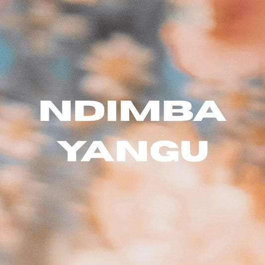 Ndimba Yangu original Swahili vocals 118 BPM A# minor for afro house producers
