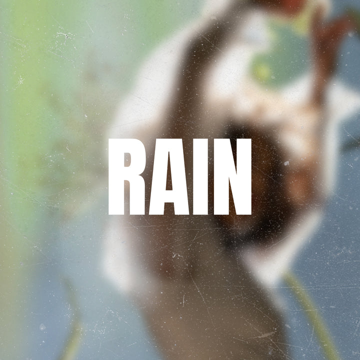 Rain (ORIGINAL VOCALS)