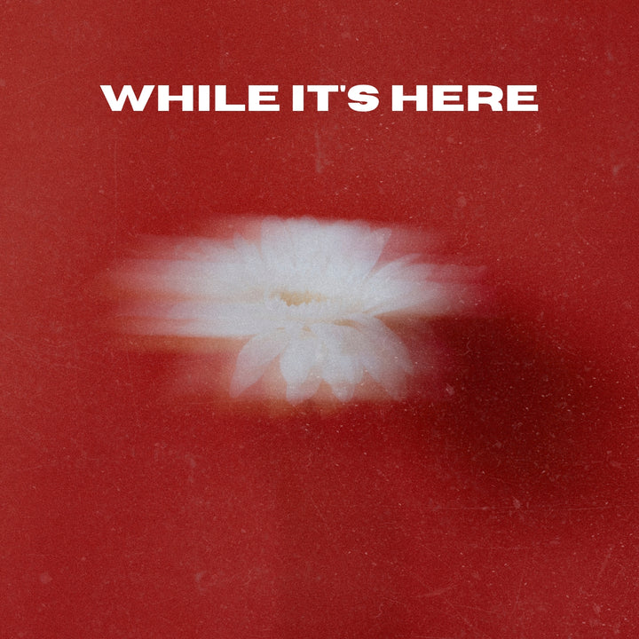 While It's Here (ORIGINAL VOCALS)